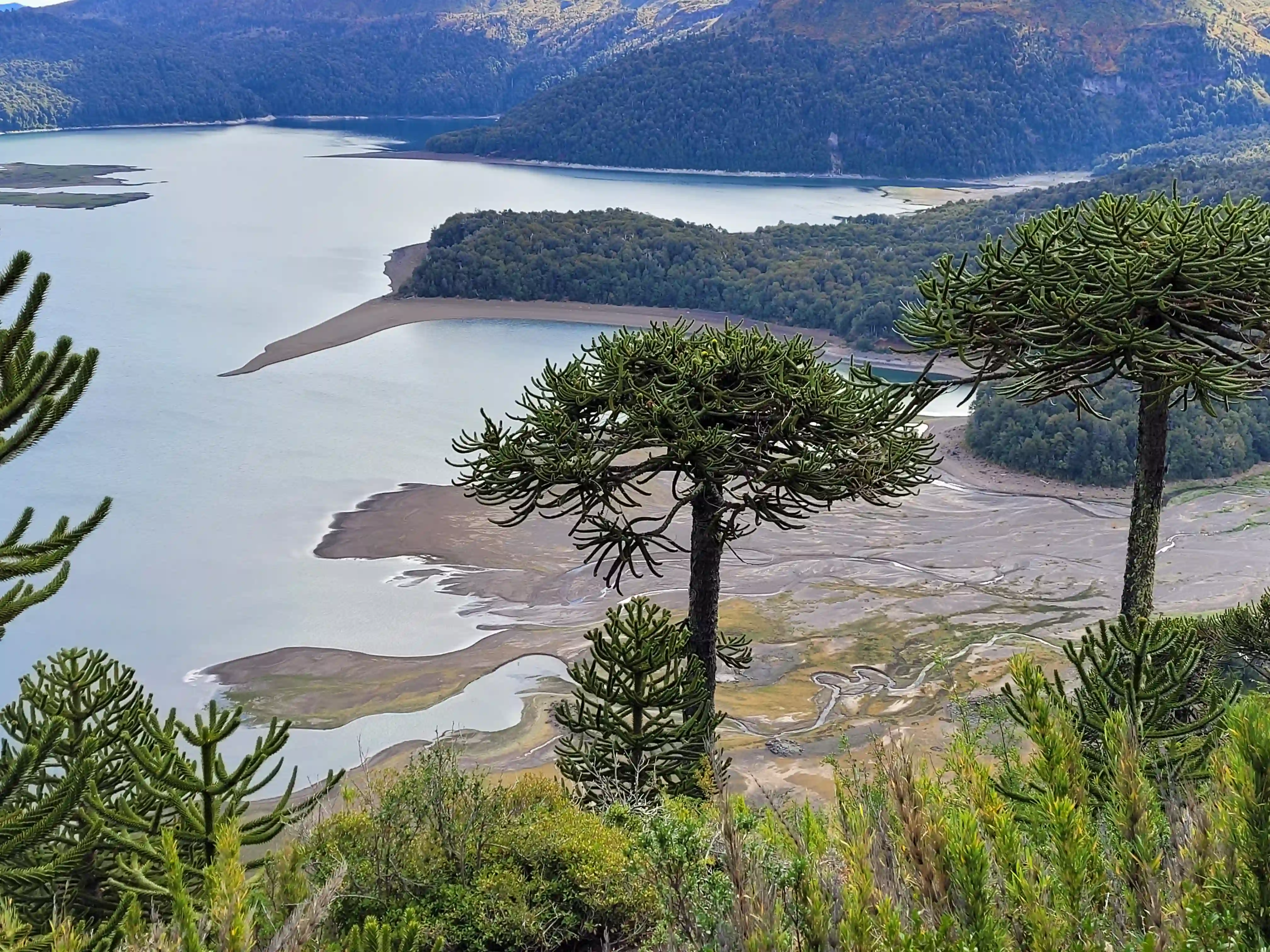 Sierra Nevada Traverse above Lake Conguillío, La Araucanía, Chile — 3