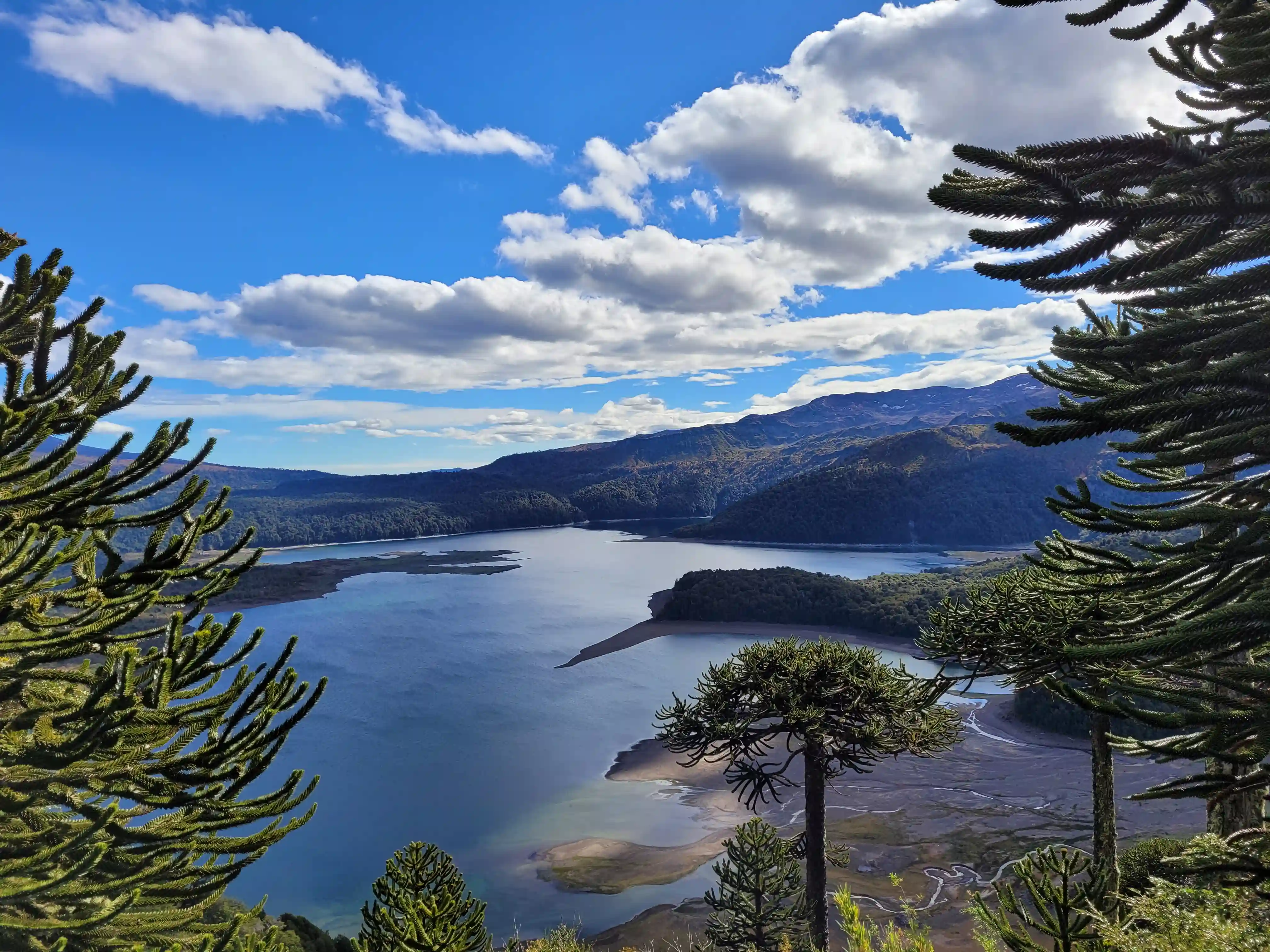 Sierra Nevada Traverse above Lake Conguillío, La Araucanía, Chile — 2